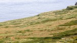 IMG 9627