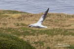 IMG 9636