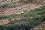 IMG 9624