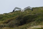 IMG 9641