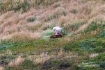 IMG 9650