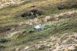 IMG 9622