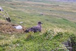 IMG 9705