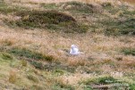 IMG 9702