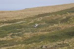 IMG 9694