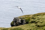 IMG 9658