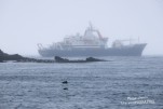 IMG 9768