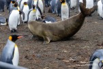 IMG 9766