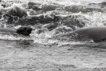 IMG 9759