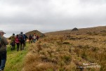 IMG 9947