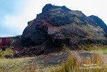 IMG 9944