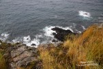 IMG 9955