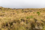 IMG 9957