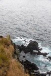 IMG 9959