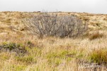 IMG 9976