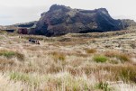 IMG 9971