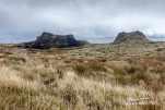 IMG 9970