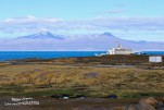 IMG 9877