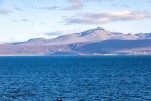 IMG 9906