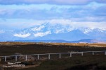 IMG 9881