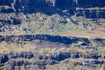 IMG 9813