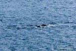 IMG 9830