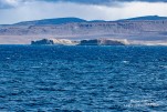 IMG 9855