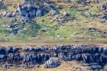 IMG 9797-2