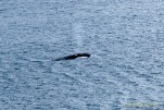 IMG 9832