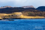 IMG 9799