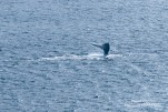 IMG 9836-2