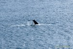 IMG 9835-2