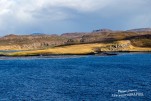 IMG 9808
