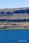 IMG 9817