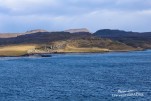 IMG 9798