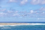 IMG 9427